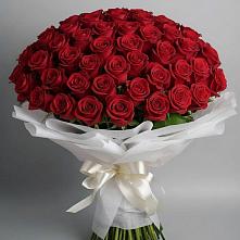 Букет 101 Красная роза Блэк Мэджик в Шиткино