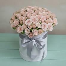 Цветочная композиция из Розы в шляпной коробке #REPLACE_PRED# Шиткино