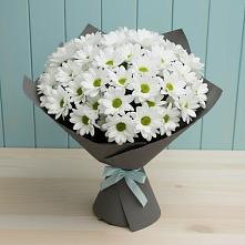 Букет цветов из:  Хризантемы #REPLACE_PRED# Шиткино