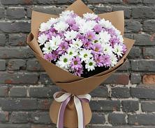 Букет цветов из:  Хризантемы #REPLACE_PRED# Шиткино