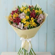 Букет цветов из:  Альстромерии в Шиткино
