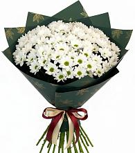 Букет цветов из:  Хризантемы #REPLACE_PRED# Шиткино