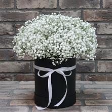 Цветочная композиция из Гипсофила в шляпной коробке в Шиткино