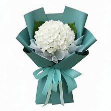 Букет цветов из:  Гортензия в Шиткино